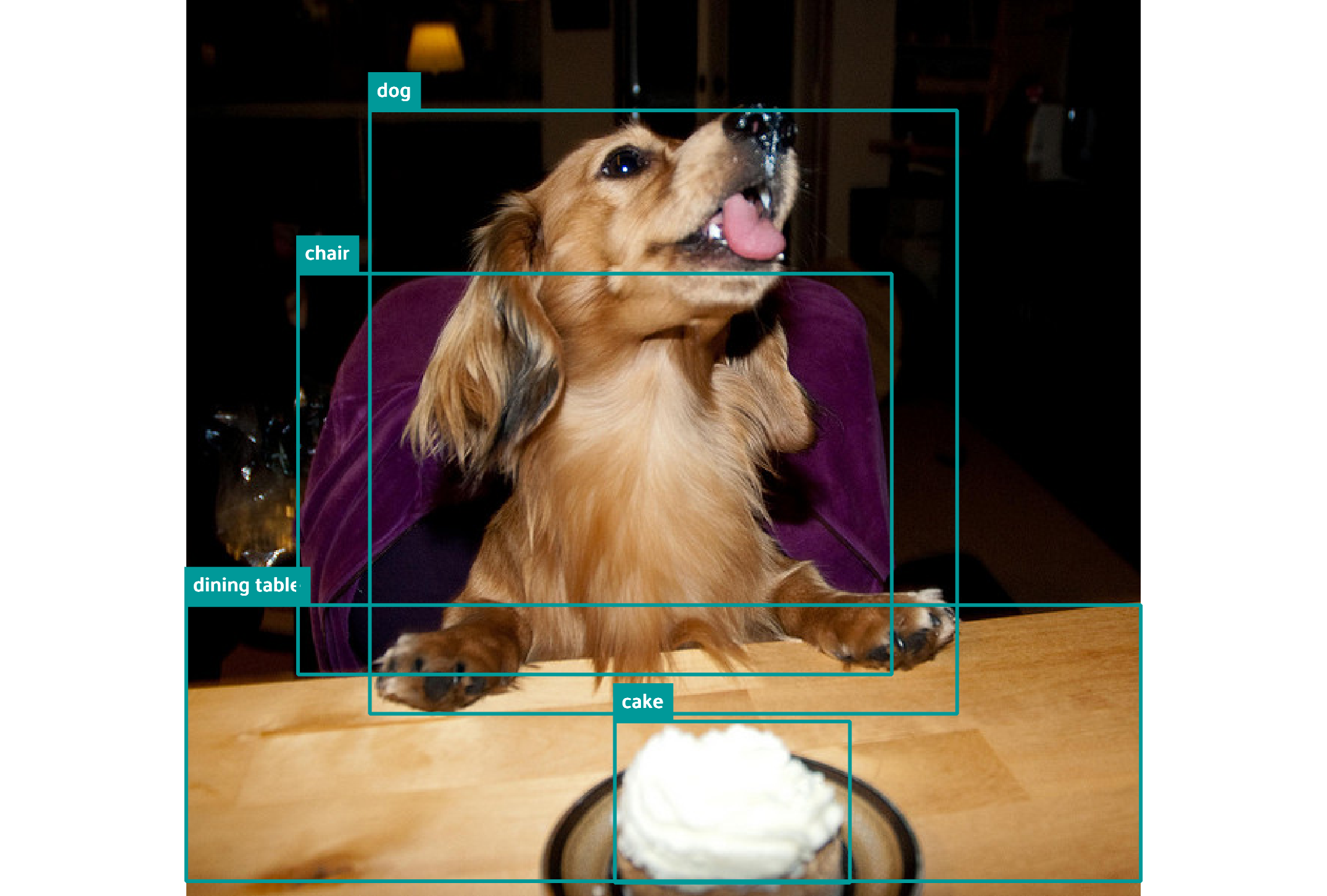 Dog with ground truth bounding boxes